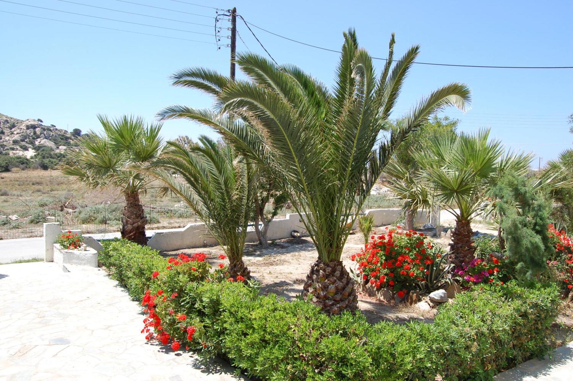 Coralli Beach Apartments Mikri Vigla Exterior foto